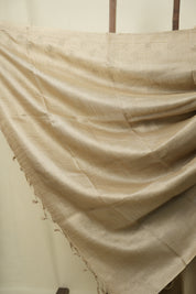 Beige Machine Embroidered Tussar Silk Saree - SRBMETSS1560