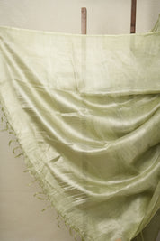 Mint Green Tissue Tussar Silk Saree - SRMGTTSS541