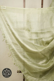 Mint Green Tissue Tussar Silk Saree - SRMGTTSS541