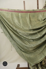 Cream Green HBP Modal Silk Saree - SRCGMSS539