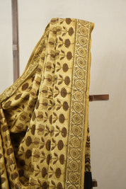 Cream Gold HBP Modal Silk Saree - SRCGMSS535