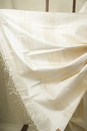 White Tussar Silk Saree - SRWTSS1890