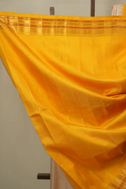 Beige Gadwal Silk Saree - SRBGSS645