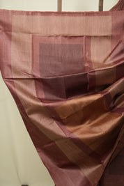Brown Tussar Silk Saree - SRBTSS1900