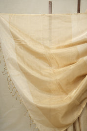Beige Maheshwari Tissue Saree - SRBMTS646