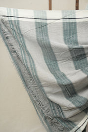 Light Sea Green Small Checks Cotton Patteda Anchu Saree - SRLSGPAS321