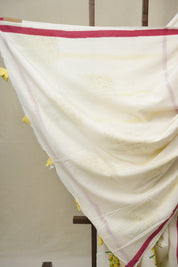 Off White HBP Signature Cotton Saree - SROWSCS26