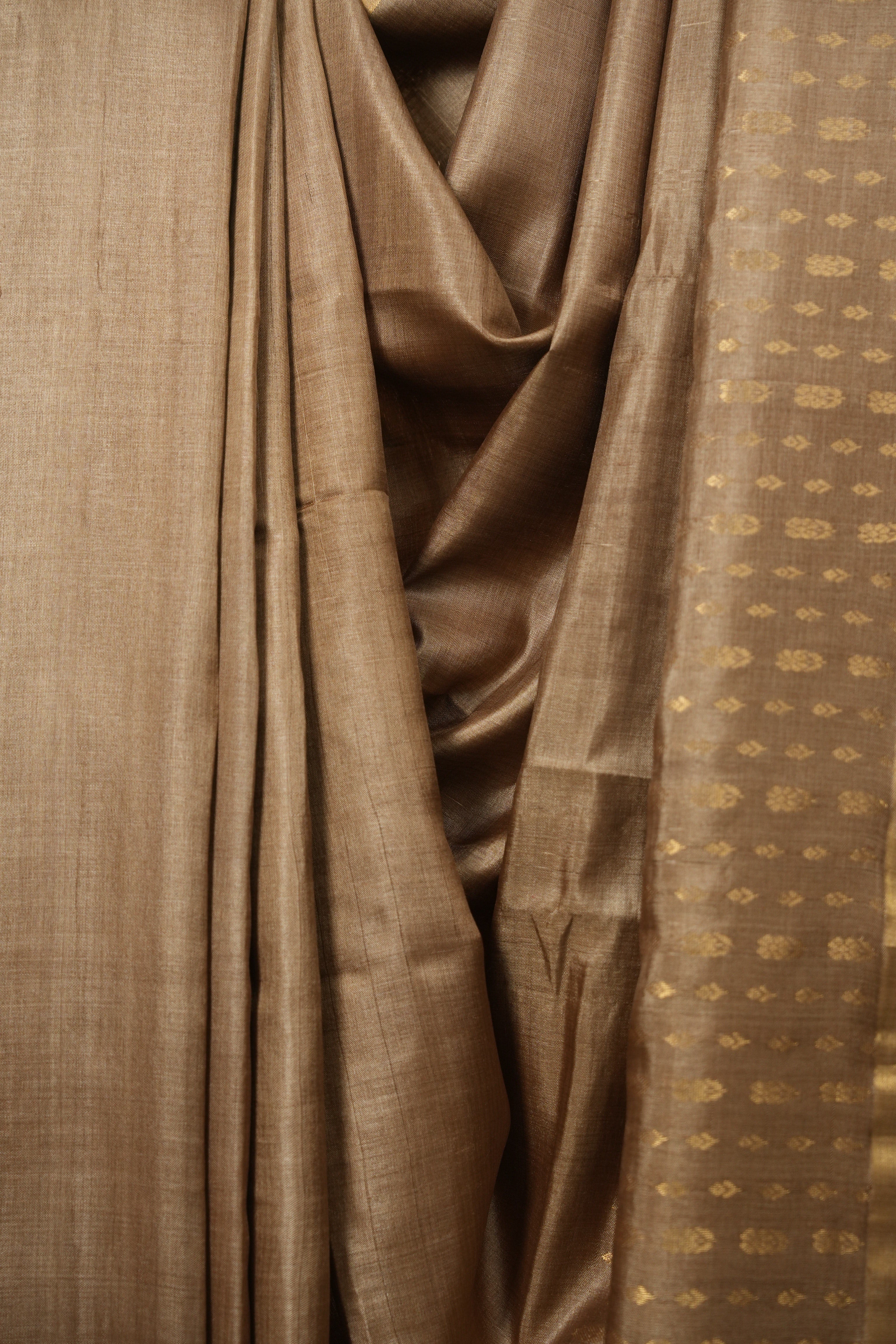 Light Brown Tussar Silk Saree - SRLBTSS1923