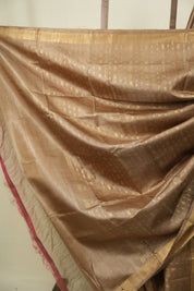 Light Brown Tussar Silk Saree - SRLBTSS1923