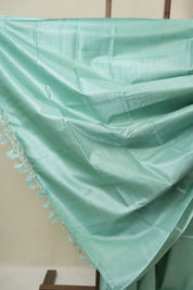 Blue Tussar Silk Saree - SRBTSS1859