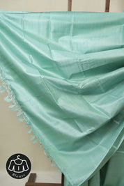 Blue Tussar Silk Saree - SRBTSS1859