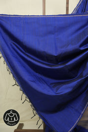 Royal Blue Raw Silk Saree - SRRBRSS1017