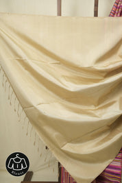Multicolour Soft Silk Saree - SRMSSS467
