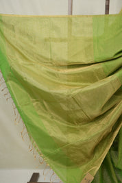 Parrot Green Maheshwari Tissue Saree - SRPGMTS737