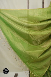 Parrot Green Maheshwari Tissue Saree - SRPGMTS737