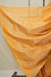 Orange Maheshwari Tissue Saree - SROMTS733