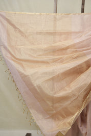 Soft Pink Maheshwari Tissue Saree - SRSPMTS732