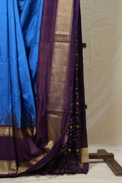 Deep Blue Pochampalli Silk Ikat Saree - SRDBPSIS265
