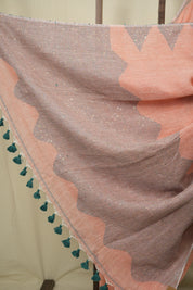 Peach Sequins Linen Saree With Green Tassels - SRPSLS511