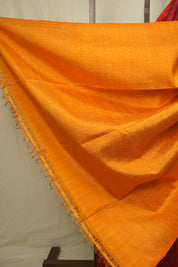 Maroon Raw Silk Ikat Saree - SRMRSIS1050
