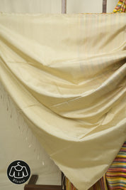 Multicolour Soft Silk Saree - SRMSSS450