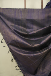 Navy Blue Raw Silk Saree - SRNBRSS1105