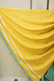 Aqua Green HBP Cotton Saree - SRAGCS3385