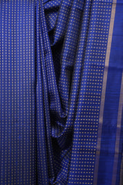Blue Raw Silk Saree - SRBRSS1122