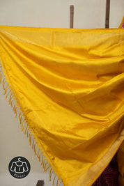 Pink Pochampalli Silk Ikat Saree - SRPPSIS193