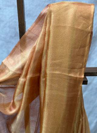 Orange Tissue Tussar Silk Saree-SROTTSS33