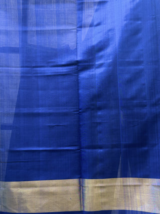 Blue Rajkot Patola Silk Saree-SRBRPSS63