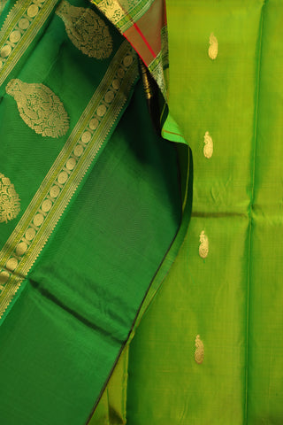 Parrot Green Kanjeevaram Silk Saree-SRPGKSS33