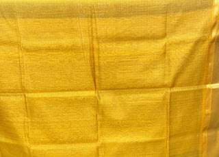 Brown Maheshwari Tissue Silk Saree - SRBMTSS113