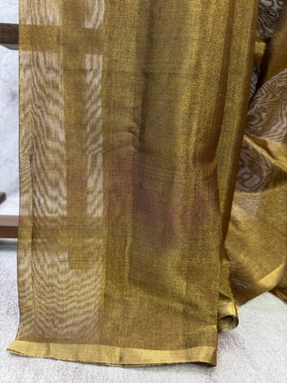 Two Tone Gold Chanderi Tissue Silk Saree-SRTGCTSS35