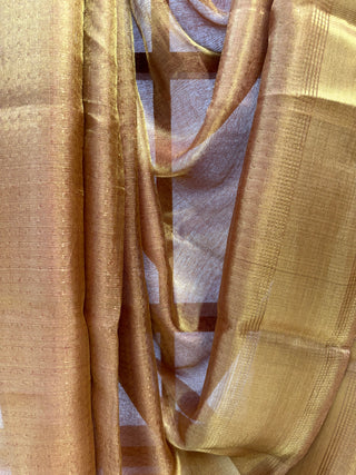 Bronze Tissue Tussar Silk Saree-SRBTTSS10