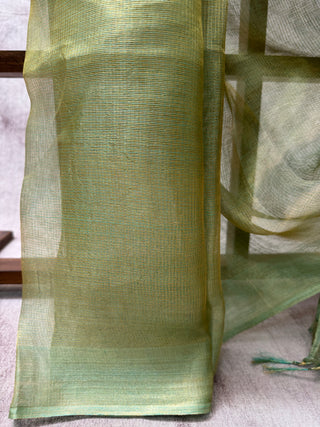 Two Tone Green Tissue Tussar Silk Saree-SRGTTSS22