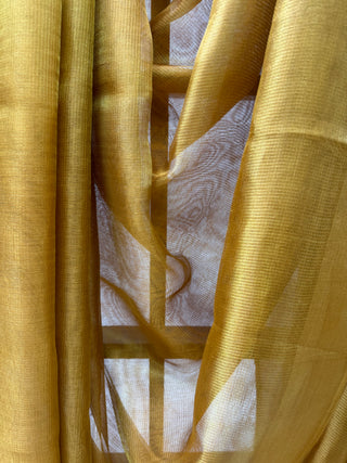 Golden Tissue Tussar Silk Saree-SRGTTSS18