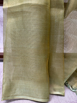 Pista Green Tissue Tussar Silk Saree-SRPGTTSS21