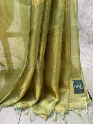 Pista Green Tissue Tussar Silk Saree-SRPGTTSS21