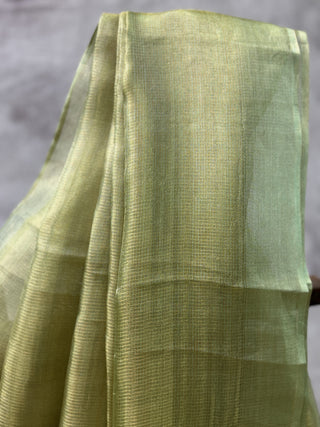 Pista Green Tissue Tussar Silk Saree-SRPGTTSS21