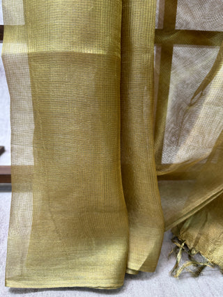 Moss Green Tissue Tussar Silk Saree-SRMGTTSS20