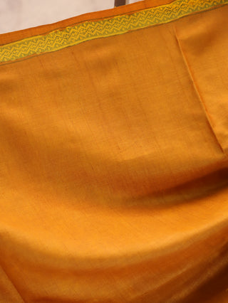 Rust Orange HBP Tussar Silk Saree - SRROTSS307
