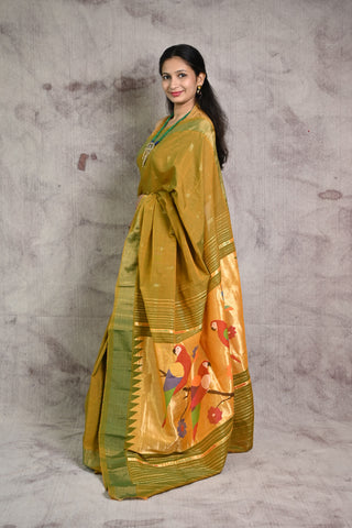 Two Tone Moss Green Cotton Paithani Saree  With Simple Border