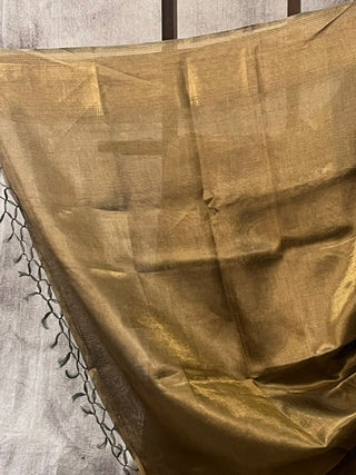 Golden Grey Tissue Tussar Silk Saree - SRGGTTSS197