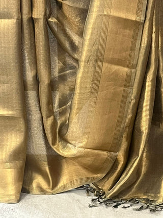 Golden Grey Tissue Tussar Silk Saree - SRGGTTSS197