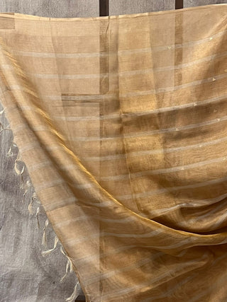 Golden Tissue Tussar Silk Saree - SRGTTSS194