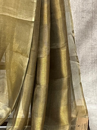 Golden Green Tissue Tusser Silk Saree - SRGGTTSS209