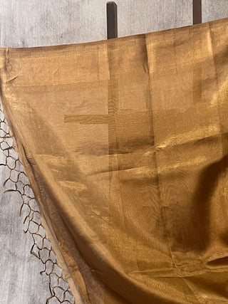 Golden Tissue Tusser Silk Saree - SRGTTSS201