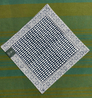 Greyish Blue Cotton Cushion Cover (Set Of 2)